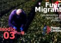 Episodio 3 – Fuerza migrante en el panorama político 2025