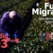 Episodio 3 – Fuerza migrante en el panorama político 2025